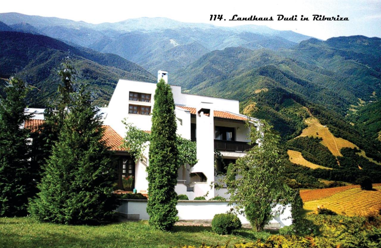 Мечтаната Селска Къща На Реката Със Семейство И Приятели! Ribarița Exterior foto