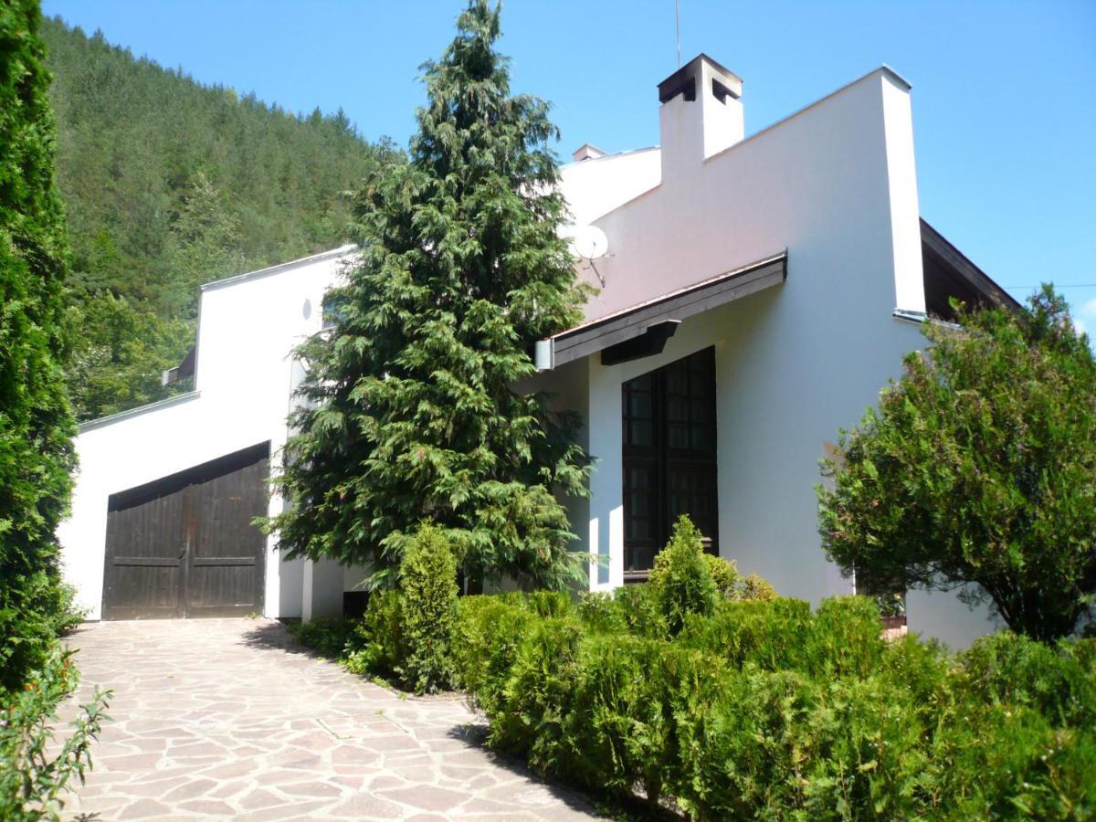 Мечтаната Селска Къща На Реката Със Семейство И Приятели! Ribarița Exterior foto